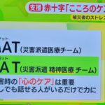 DPAT 災害時の心のケア問題